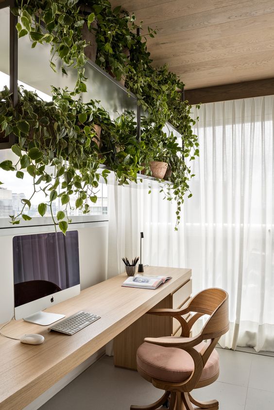 home office plantas